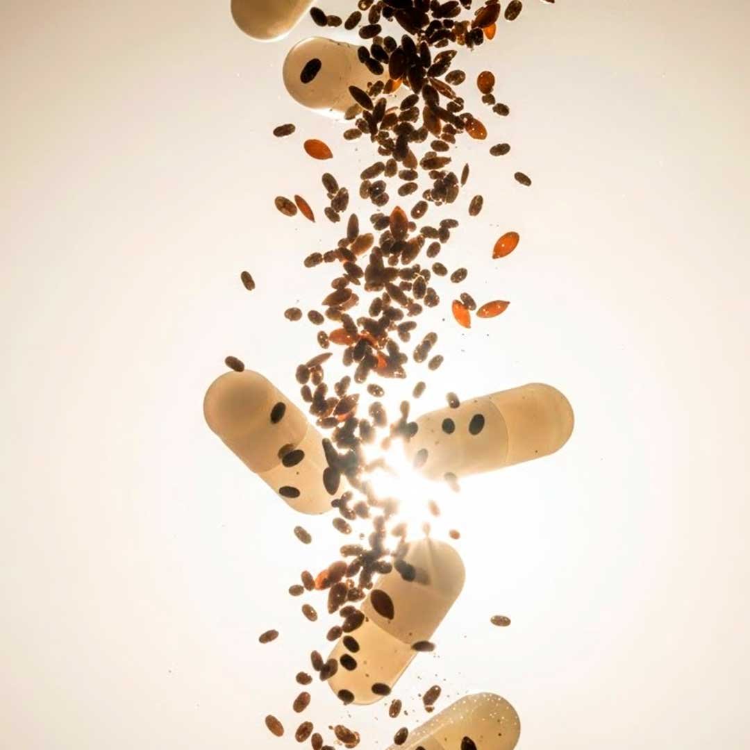 HIT® Chía en Cápsulas 30 pzs | Cápsulas de Aceite de Chía de Origen Natural | Complemento Alimenticio | Uso Adulto